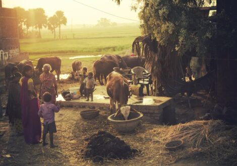 Sustainable Living Practices from Indian Villages