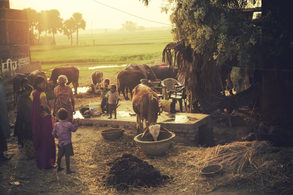 Sustainable Living Practices from Indian Villages
