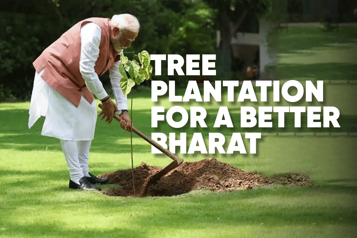 Join the Movement: Tree Plantation for a Better Bharat